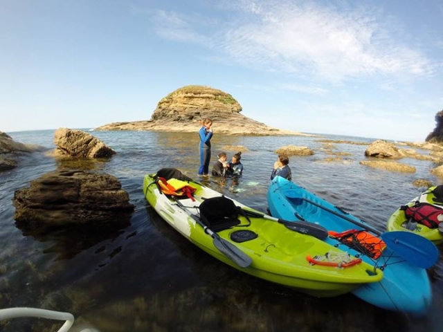 Kayaks en la orilla